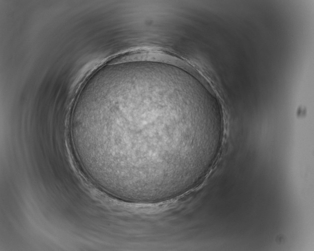 X0000116490001200912231201