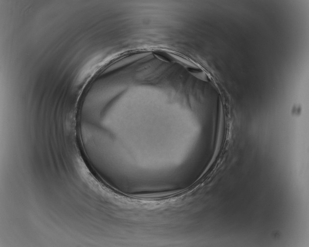 X0000116490002200912231201