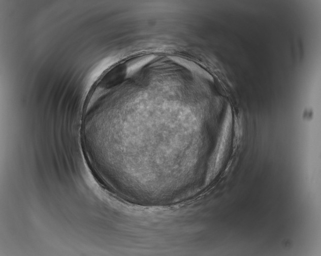 X0000116490003200912231201