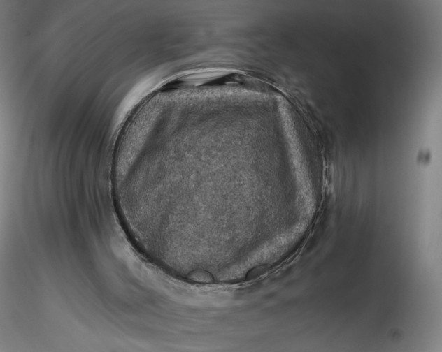 X0000116490004200912231201