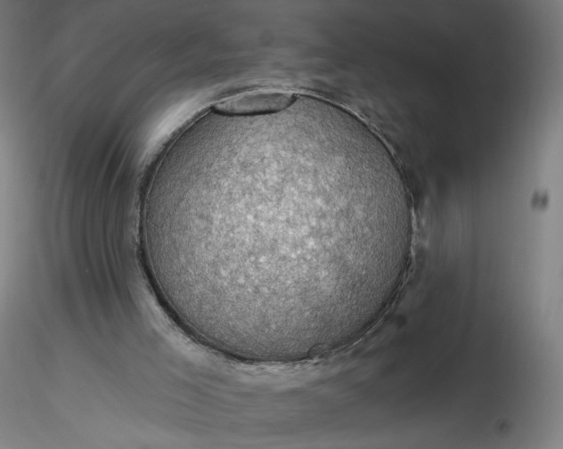 X0000116490005200912231201