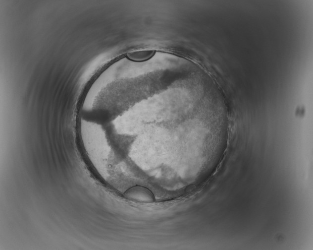 X0000116490006200912231201