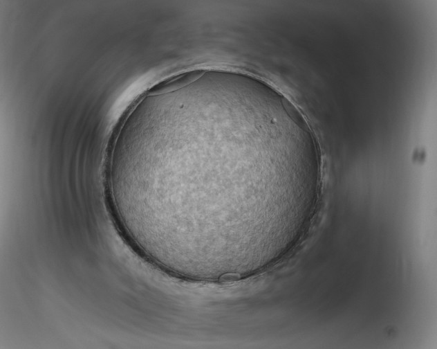 X0000116490007200912231201