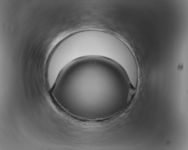 X0000116490008200912231201