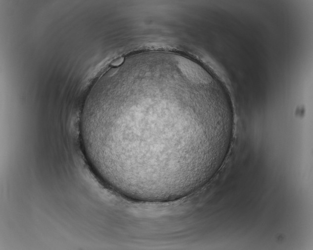 X0000116490009200912231201