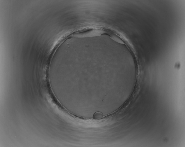 X0000116490010200912231201