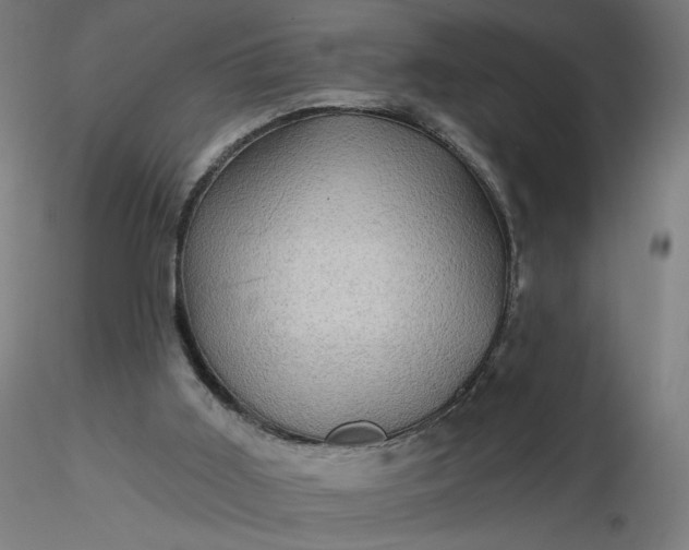 X0000116490011200912231201