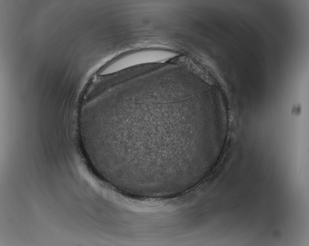 X0000116490012200912231201