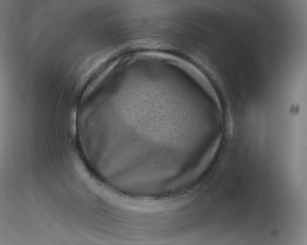 X0000116490014200912231201