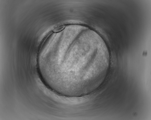 X0000116490015200912231201