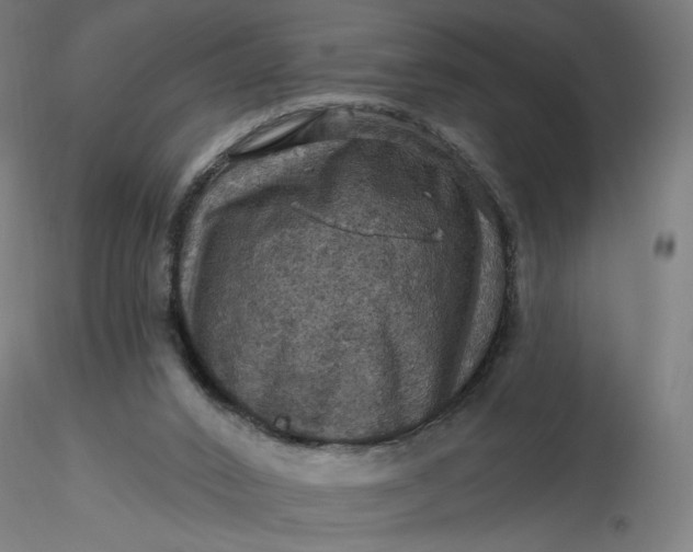 X0000116490016200912231201