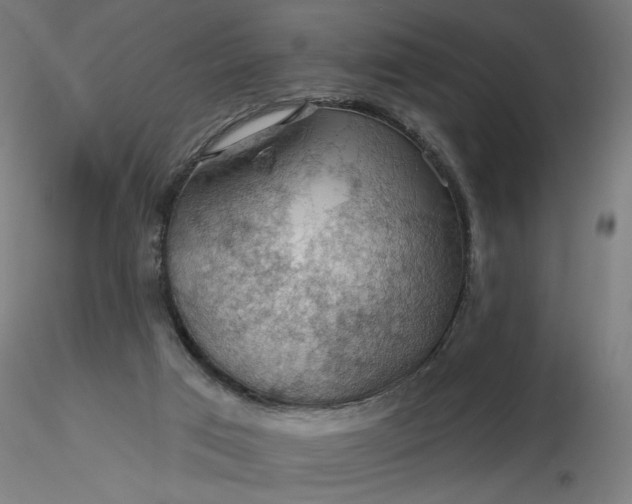 X0000116490017200912231201