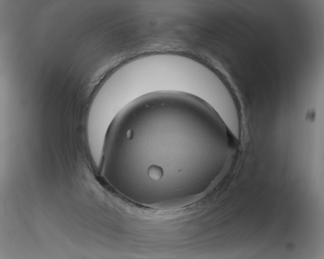 X0000116490019200912231201