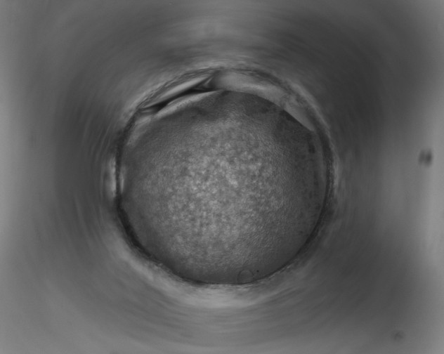 X0000116490020200912231201