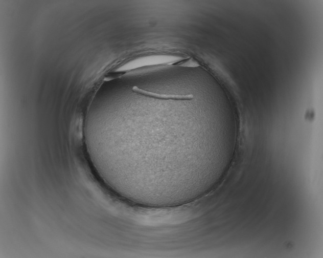 X0000116490021200912231201