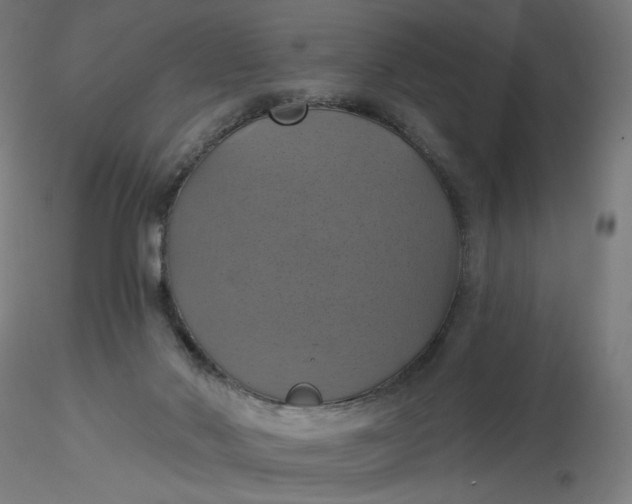 X0000116490022200912231201