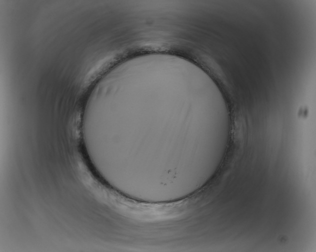 X0000116490023200912231201