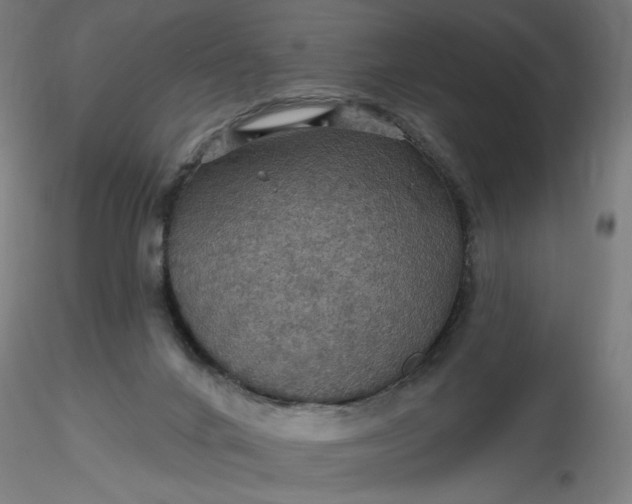 X0000116490024200912231201