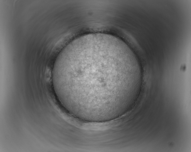 X0000116490025200912231201