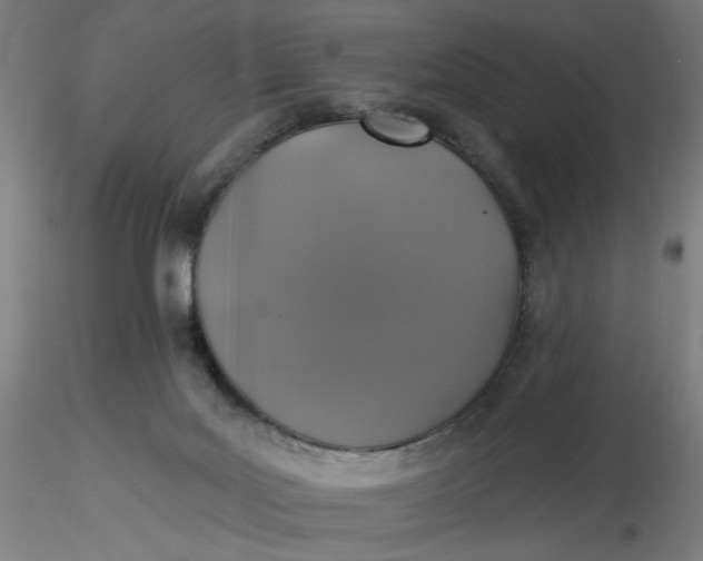 X0000116490027200912231201