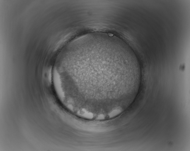 X0000116490028200912231201