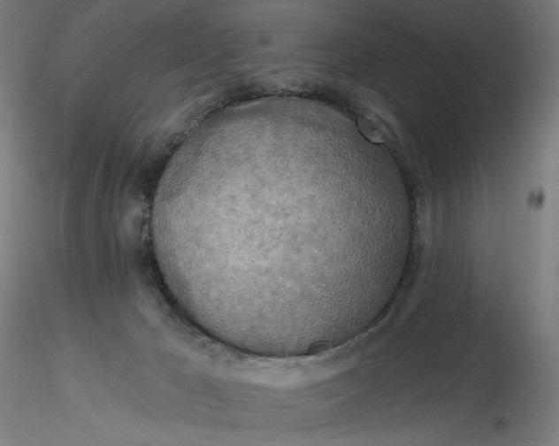 X0000116490029200912231201