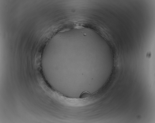 X0000116490030200912231201