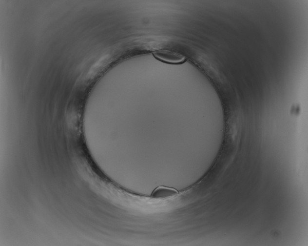 X0000116490031200912231201