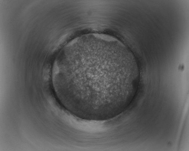 X0000116490032200912231201