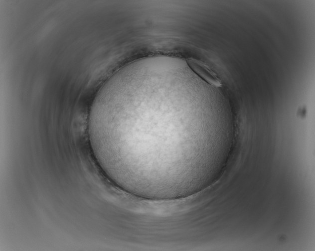 X0000116490033200912231201