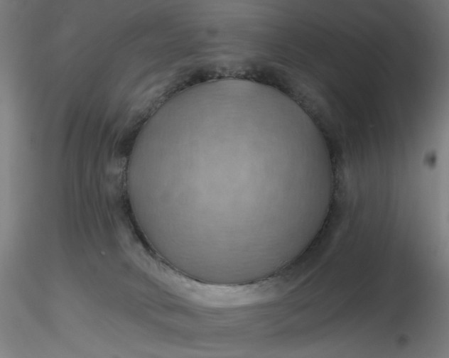 X0000116490034200912231201