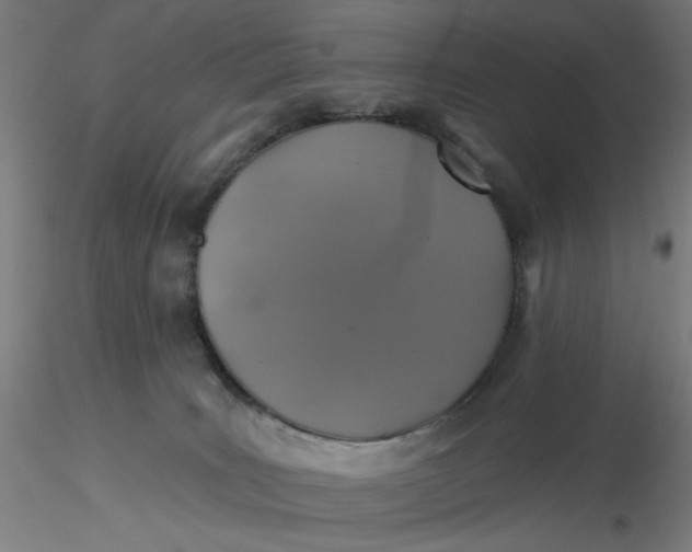 X0000116490035200912231201