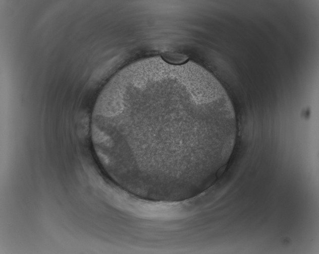 X0000116490036200912231201