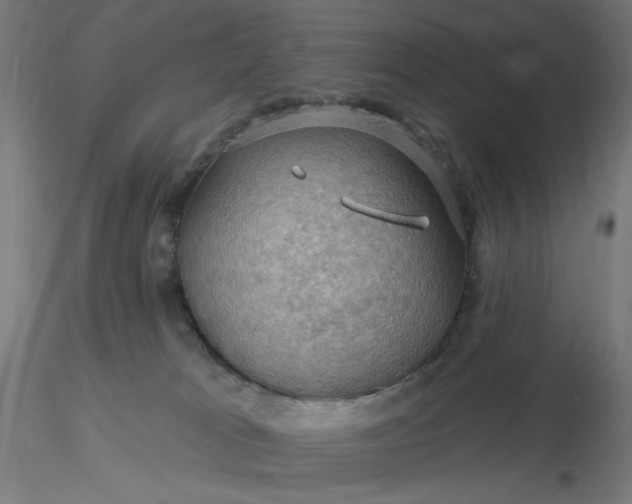 X0000116490037200912231201