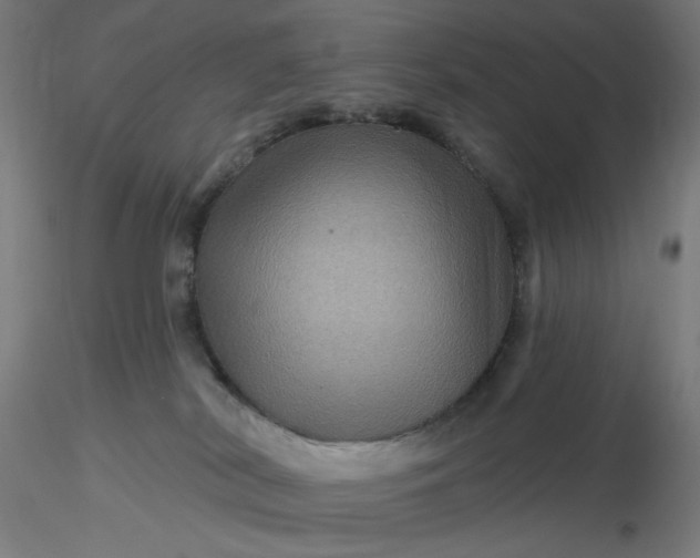 X0000116490038200912231201