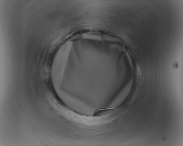 X0000116490039200912231201