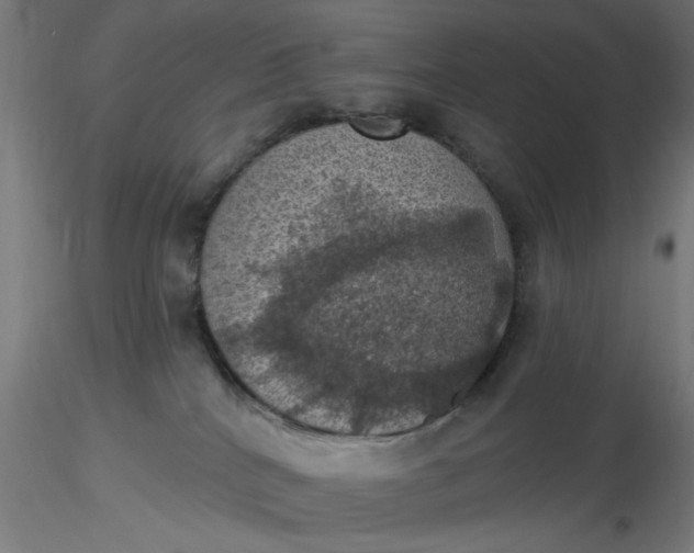 X0000116490040200912231201