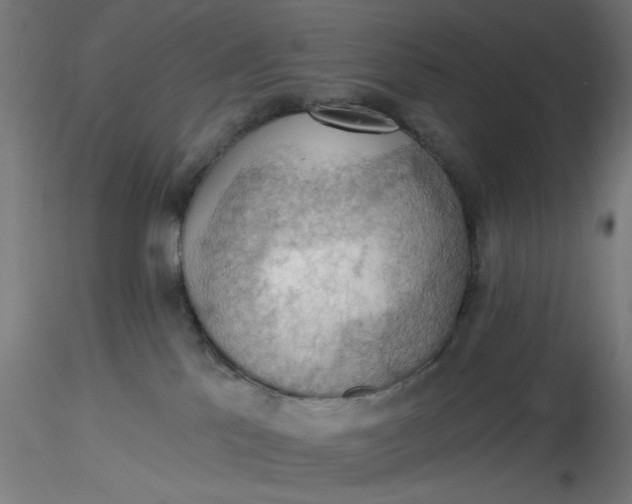 X0000116490041200912231200