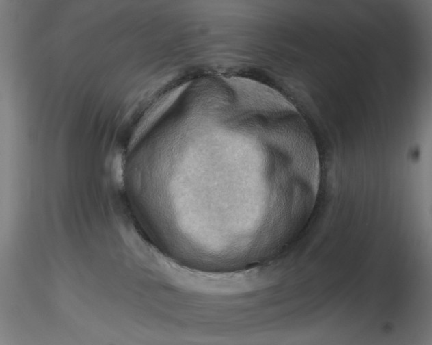 X0000116490042200912231200