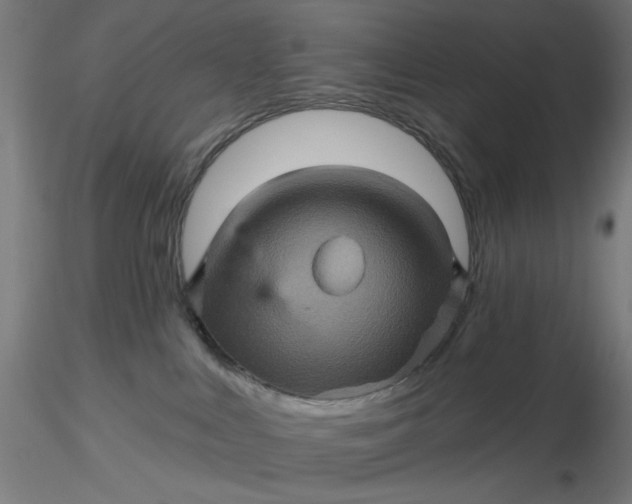 X0000116490043200912231200