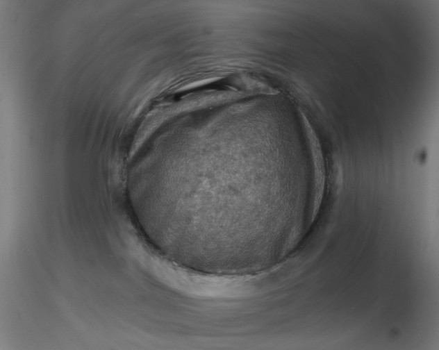 X0000116490044200912231200