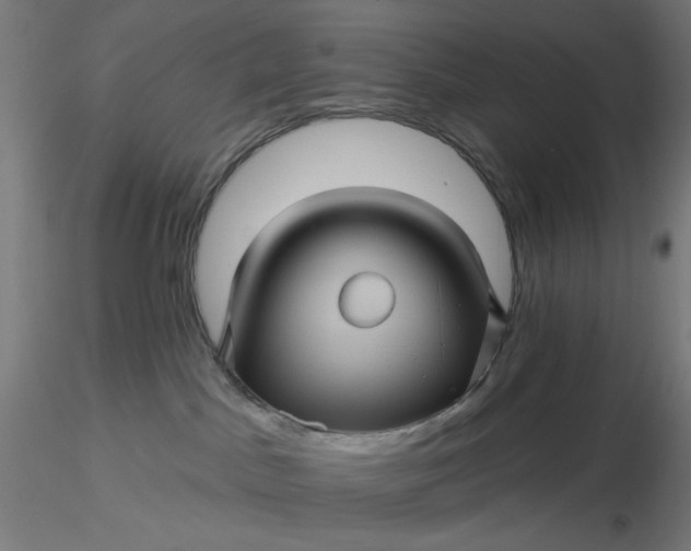 X0000116490045200912231200