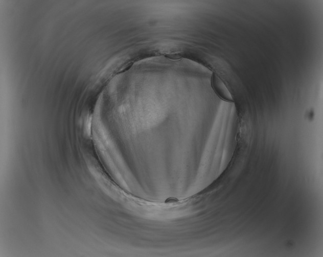 X0000116490046200912231200