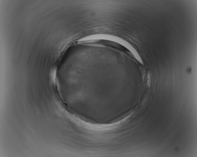 X0000116490047200912231200