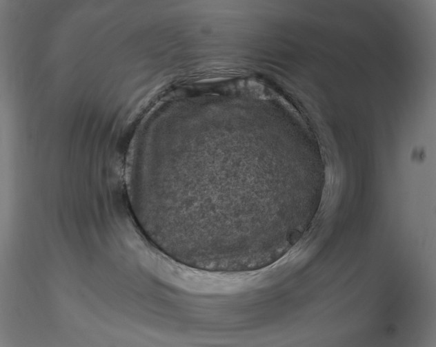 X0000116490048200912231200