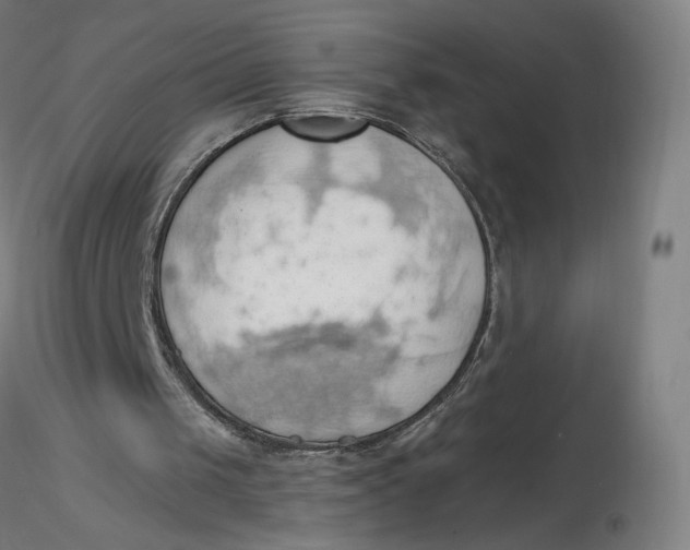 X0000116490049200912231200