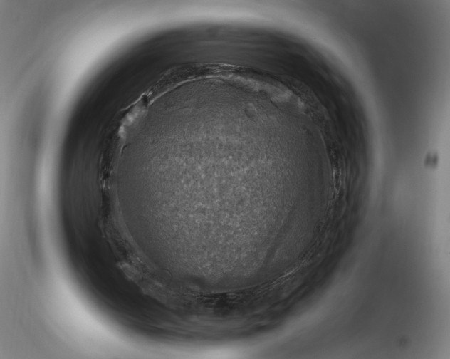 X0000116490050200912231200