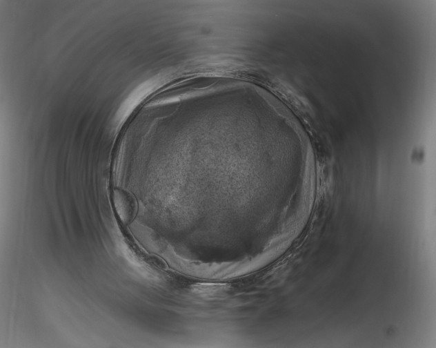 X0000116490051200912231200