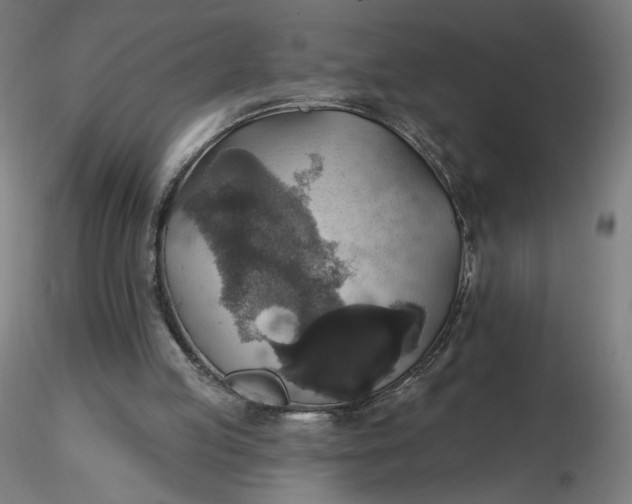 X0000116490053200912231200