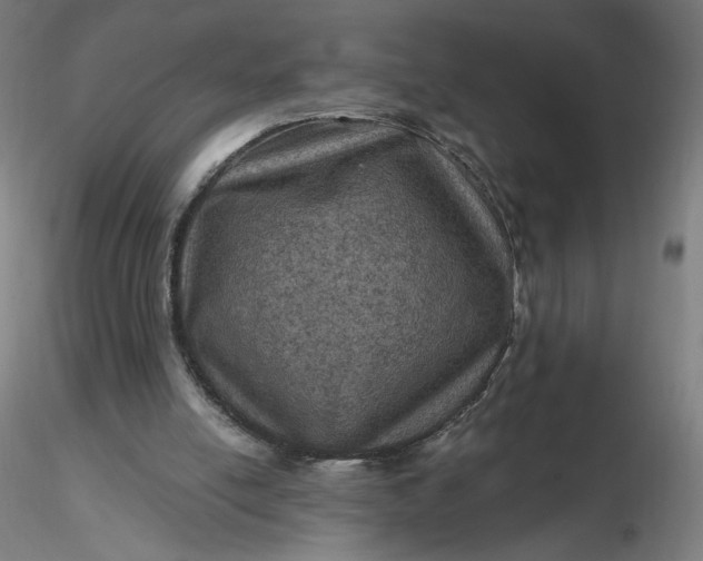 X0000116490054200912231200